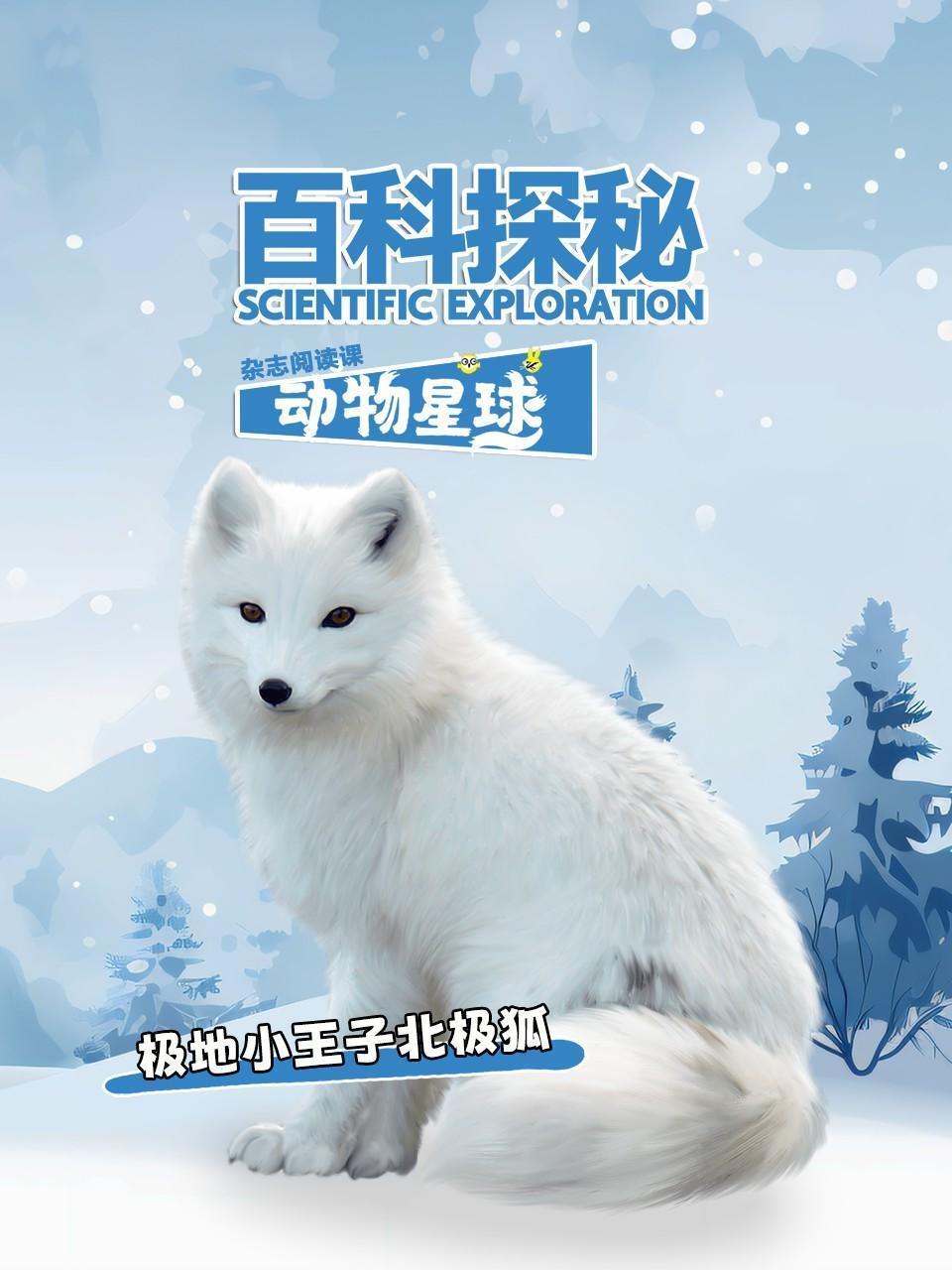 百科探秘动物星球：极地小王子北极狐