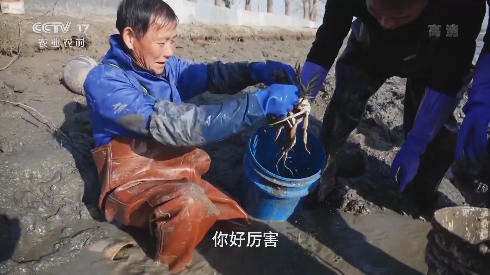 《致富经》 20211229 全家总动员 财富蟹中来