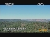 远方的家 百山百川行 第一百六十一集 原木上的旋律《远方的家》 20131213