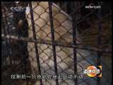 道德观察 我是熊妈妈