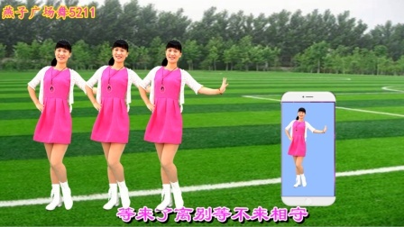 广场舞《手机里的那首歌DJ》缓解心情解压助眠