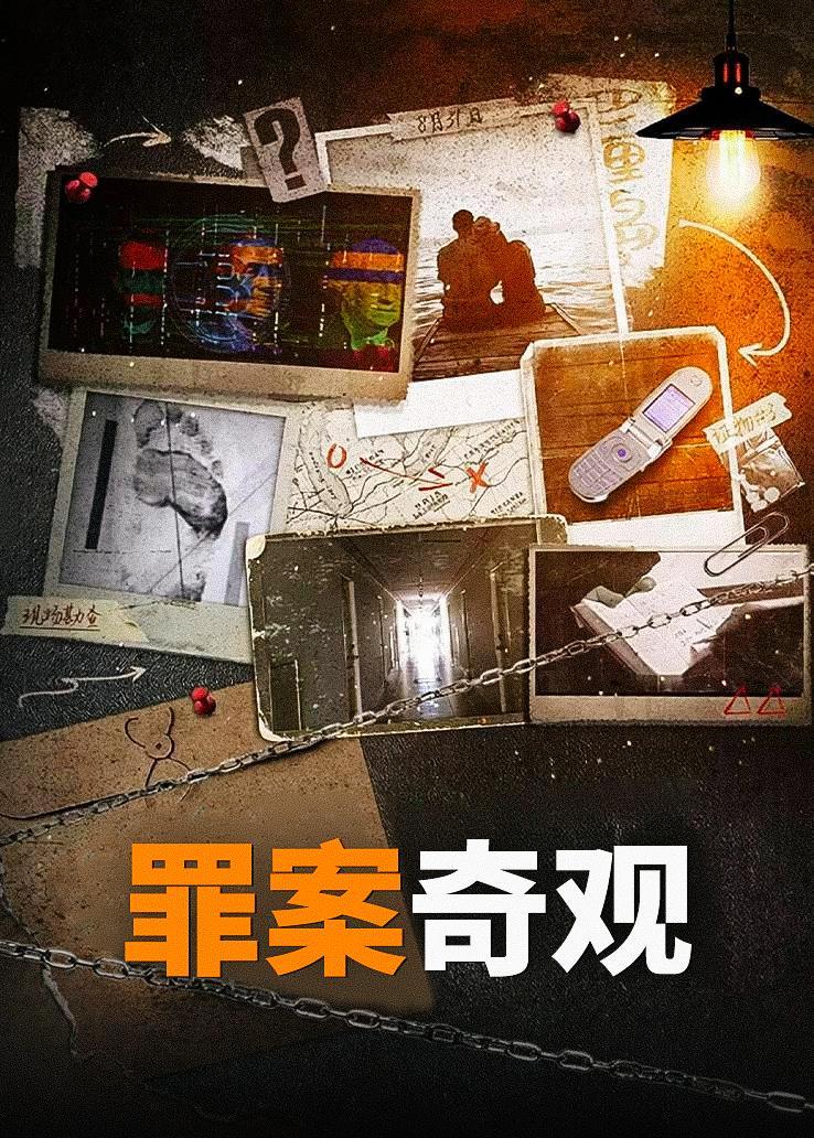 罪案奇观