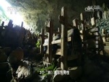 地理中国 《地理中国》 20170506 探秘白骨洞（下）