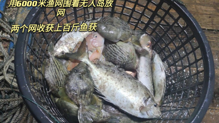 南澳岛赶海日记 挑战用6000米渔网围着无人岛放，这既好玩渔获也多，有过百斤海鲜