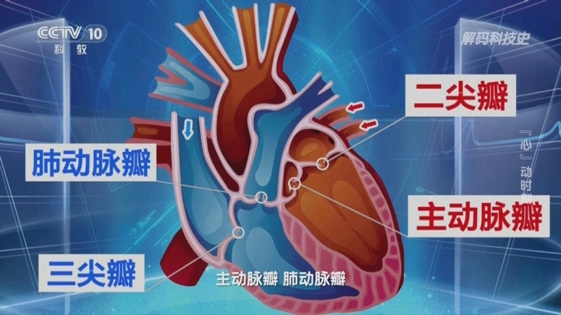 《解码科技史》 20241205 “心”动时刻