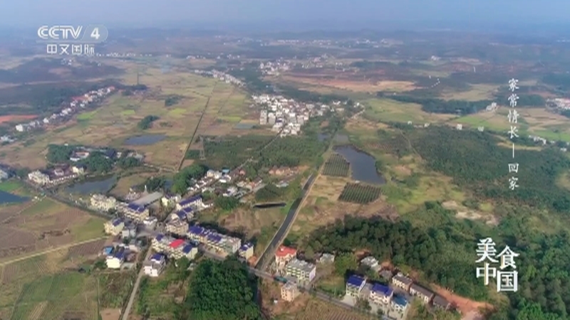 美食中国 《美食中国》 20230322 家常情长——回家