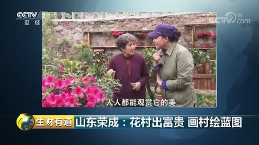 生财有道 《生财有道》 20190607 乡村振兴中国行：山东荣成：花村出富贵 画村绘蓝图