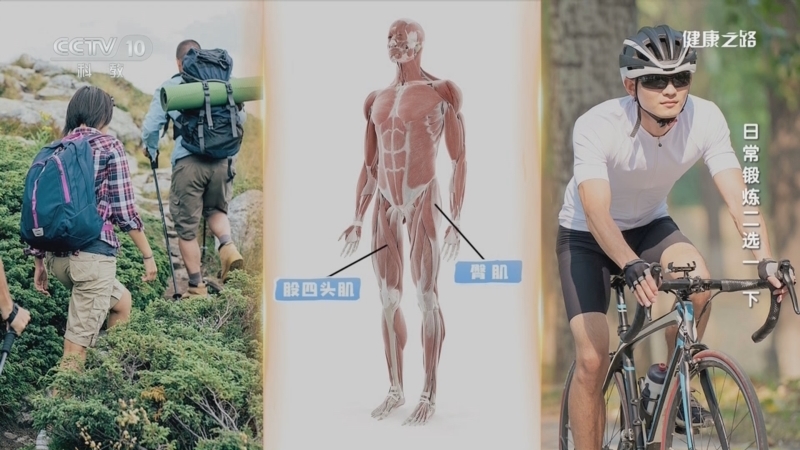 健康之路 《健康之路》 20240217 日常锻炼二选一（下）