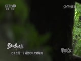 军事纪实 《军事纪实》 20161017 震撼世界的长征 第一集 红色迷雾