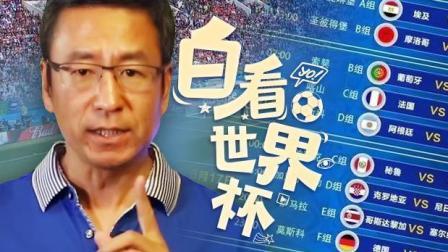白看世界杯 白岩松：首轮9大盘点 “死亡之战”提前到来？