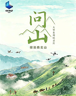 问山 海报