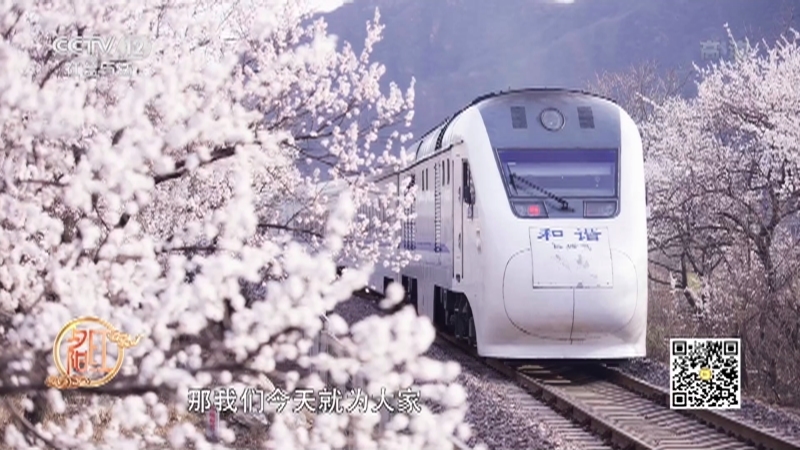 《夕阳红》 20210520 时尚全知道——寻花踏路·花海列车