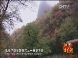 远方的家 江河万里行 第184集 渭河 渭河边的艺术明珠 20150112 《远方的家》