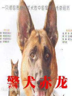 警犬赤龙}