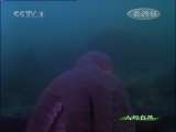 人与自然 人与自然 2010年 第5期 2010-12-07