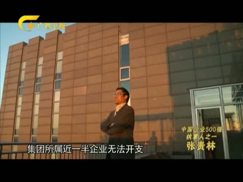 走南闯北广西人 《走南闯北广西人》 20140128 中国企业500强执掌人之一 张贵林