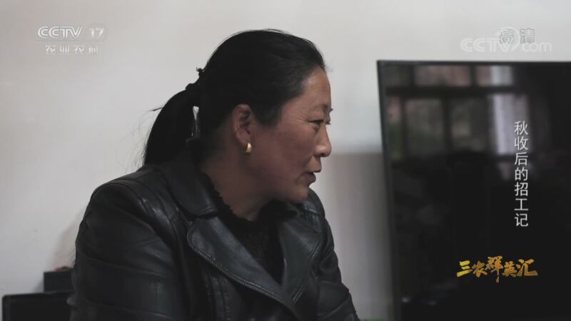 三农群英汇 《三农群英汇》 20201102 秋收后的招工记