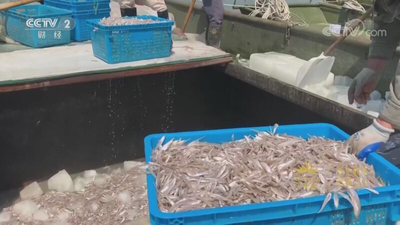 消费主张 《消费主张》 20200917 最后一捕 今年太湖湖鲜行情如何？