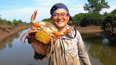 思乡渔夫赶海 这种螃蟹太少见，渔夫赶海几十年，也只抓到3只，必须放生