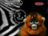 动物世界 《动物世界》 20111010