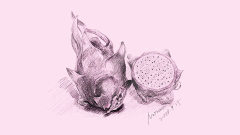 白白侠画画 火龙果素描画