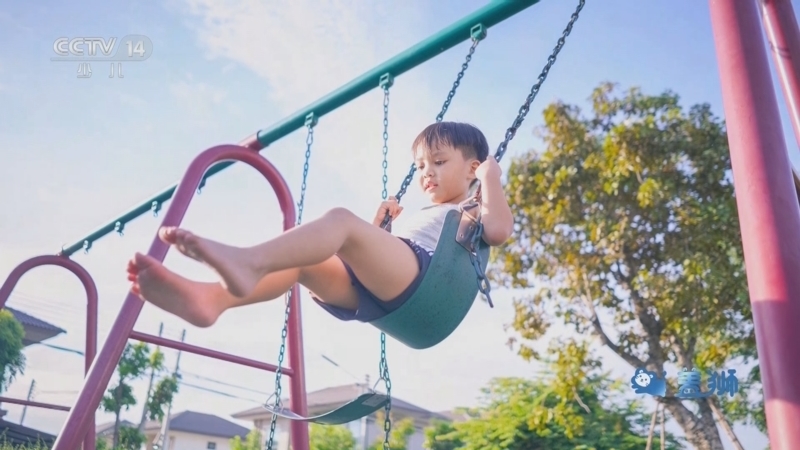 小小智慧树 《小小智慧树》 20241104