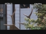 人与自然 《人与自然》 20130707 自然发现 人类星球——城市（下）