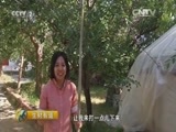 生财有道 《生财有道》 20151124 麦香致富农家院