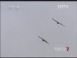 军事纪实 《军事纪实》 20121220 高原练兵忙③山地突击