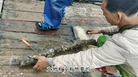 南澳岛赶海日记 彪哥赶海捕获一群这种深海毒物，被刺到要去住院，价格倒是挺好的