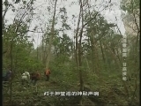 地理中国 《地理中国》 20131024 秘境零距离 谷底探秘