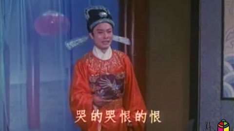 戏缘 主演 杨俊 张辉 虞万能 梅春景