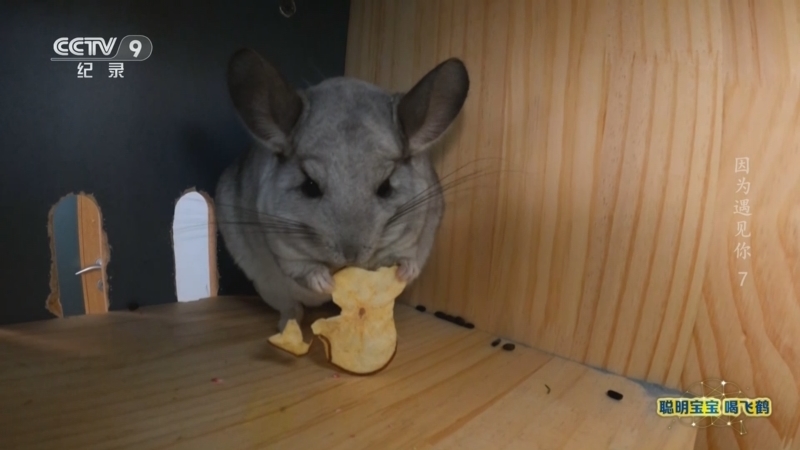 《因为遇见你》 第7集 陪伴你 治愈我