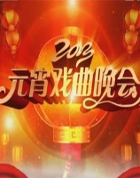 2013年元宵戏曲晚会