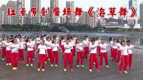 广场舞 广场舞《海草舞》演跳版
