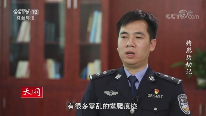 天网 《天网》 20201116 猪崽历劫记