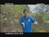 远方的家 百山百川行 第四十八集 晴隆山纪行《远方的家》 20130626