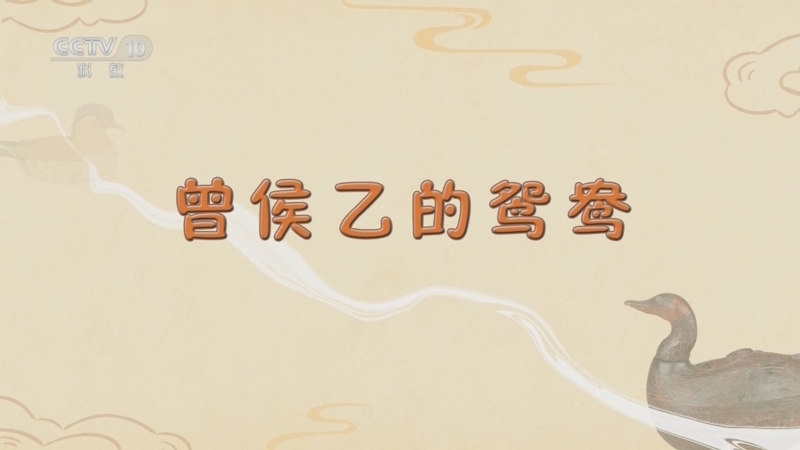 百家讲坛 《百家讲坛》 20241107 博物馆里的动物们 4 曾侯乙的鸳鸯