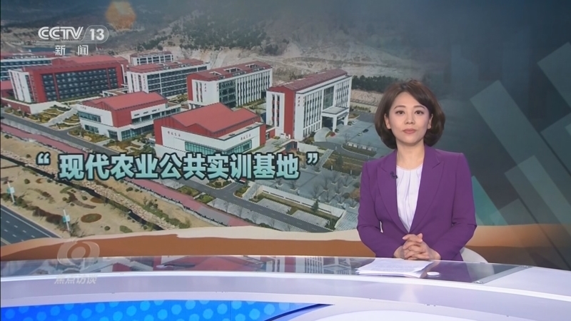 焦点访谈 《焦点访谈》 20260414 不实的实训基地