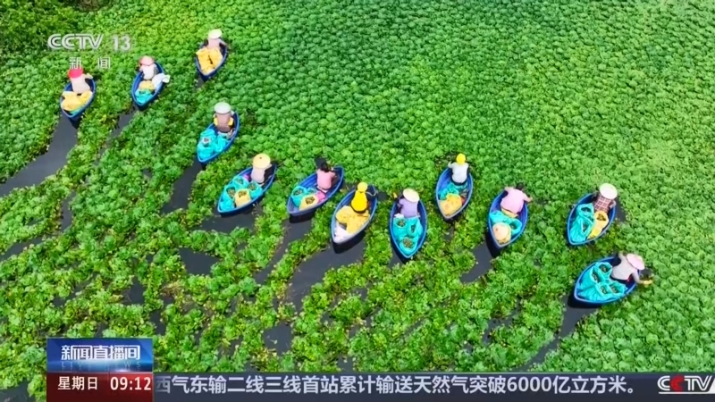 新闻直播间 《新闻直播间》 20260823 09:00