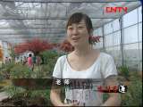 生财有道 《生财有道》 20110823 蝶儿满天飞