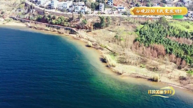 《我的美丽乡村》 20210426 抚仙湖畔的民宿村