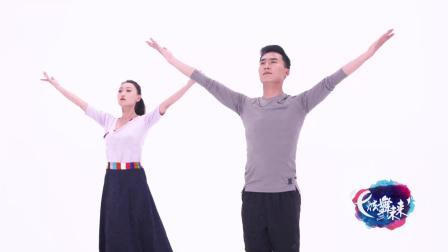 西海情歌-饶子龙（舞蹈展示）