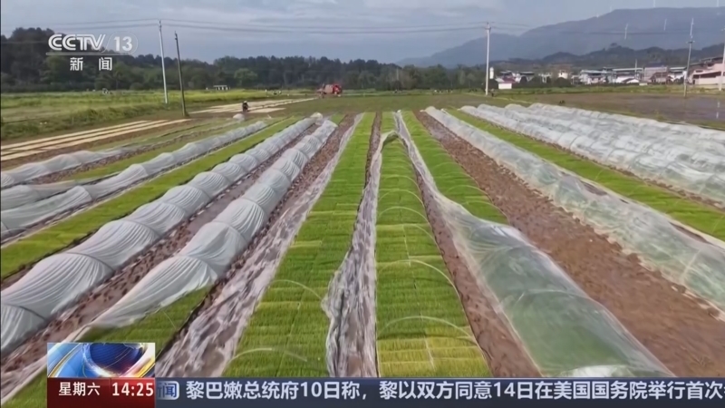 《新闻直播间》 20260411 14:00