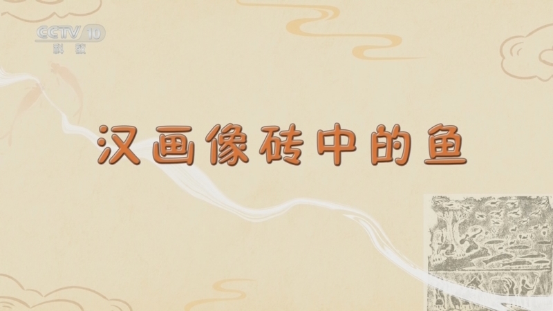 百家讲坛 《百家讲坛》 20241118 博物馆里的动物们 15 汉画像砖中的鱼