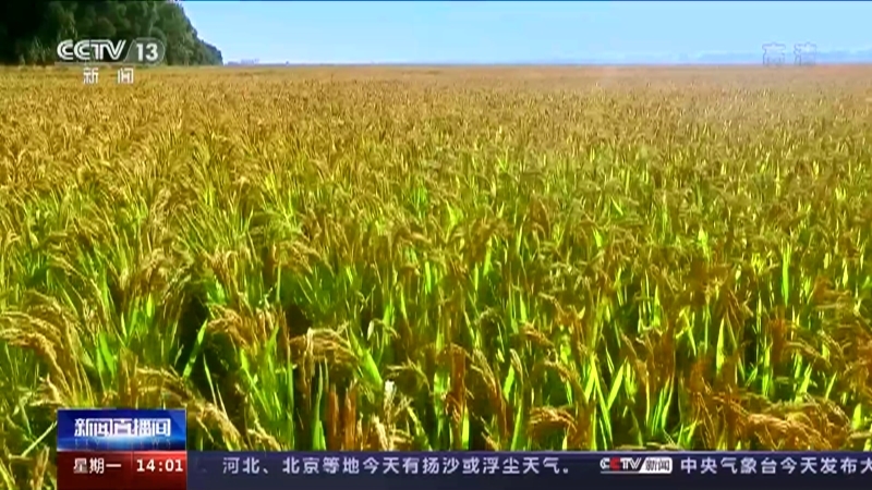 新闻直播间 《新闻直播间》 20221212 14:00