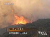 军事纪实 烈火中永生