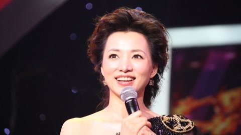 心灵摆渡人 为什么2017年董卿红透荧屏是必然的？