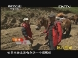 远方的家 《远方的家》 20131006 边疆行 边疆有奇景