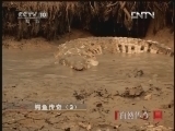 《自然传奇》 20121213 鳄鱼传奇（2）